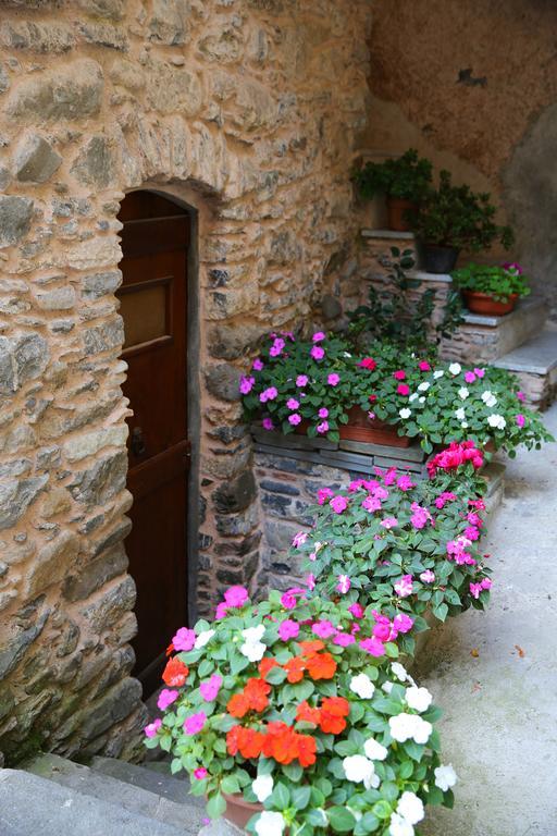 La Meridiana Casale 피뇨네 객실 사진